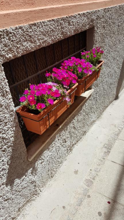 Al Sale Bed & Breakfast Cagliari Dış mekan fotoğraf