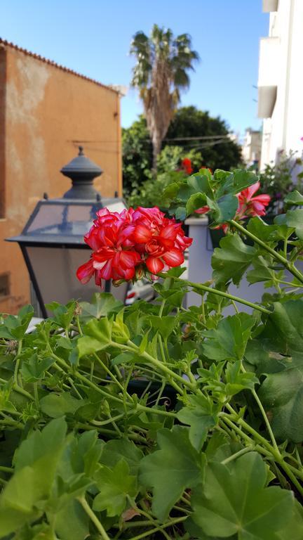 Al Sale Bed & Breakfast Cagliari Dış mekan fotoğraf